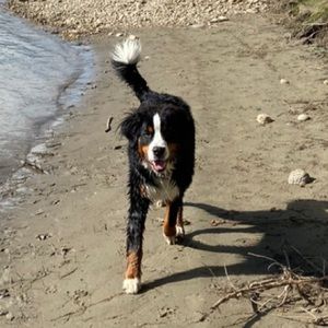 Meet your Posher, Leigh